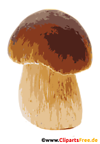 Kiefern- oder Rothütige Steinpilz Bild, Clipart, Illustration