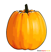 herbst kürbis bilder