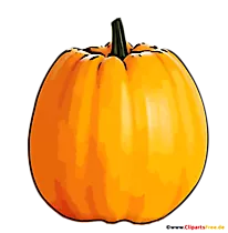 Kürbis Illustration - Herbst Bilder im PNG-Format