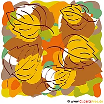 Lizenzfreie bilder gratis