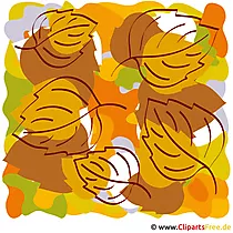 Lizenzfreie Bilder gratis Herbst