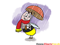 Lustige Bilder Herbst - Biene mit Regenschirm