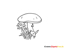Pilz Bild zum Ausmalen