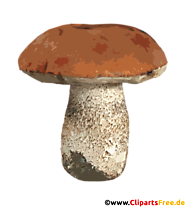 Pilz transparentes PNG-Clipart - Herbst Bilder