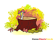 Pilze auf Baumstumpf Illustration, Bild, Grafik