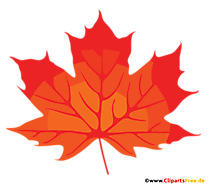 Rotes Ahornblatt Clipart, Bild, PNG
