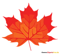 Rotes Ahornblatt Clipart, Bild, PNG