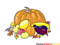 Schöne Bilder kostenlos - Herbst, Ernte, Gemüse und Obst
