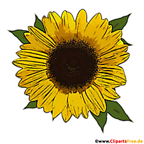 Schöne Sonnenblume Clip Art transparent