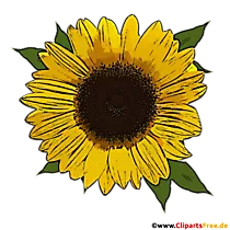 Schöne Sonnenblume Clip Art transparent