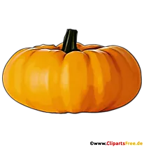 Schöner gelber Kürbis Clipart, Bild, Illustration