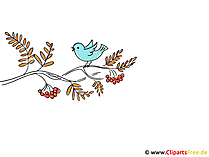 Vogelbeere Bild - Bilder Herbst
