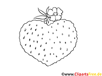 Erdbeere schwarz-weisse Zeichnung