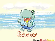 Bildschirmhintergrund kostenlos Sommer, Hippo