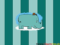 Coole Hintergrundbilder