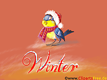 Desktop Hintergrundbilder zum Thema Winter - Gimpel, Schnee, Frost