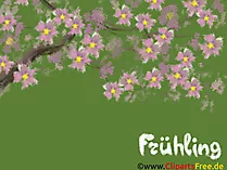 Hintergrund Bilder Sakura, Blumen, Frühling
