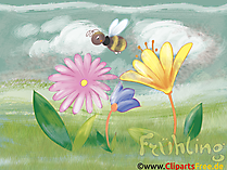 Hintergrundbilder Frühling gratis downloaden