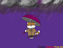 Hintergrundbilder Herbst - Katze mit Regenschirm