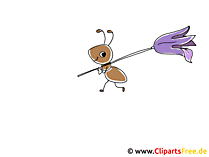 Ameise mit Blume Clipart