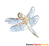 Augenstecher Bild - Bilder für Online-Unterricht für Lehrer und Schüler