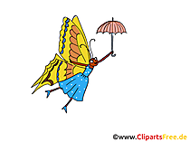 Butterfly Clipart, Comic, Cartoon Image, Pic free