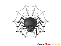 Clip art Spinne im Netz