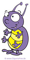 Käfer Clipart, Bild, Cartoon, Grafik, Illustration