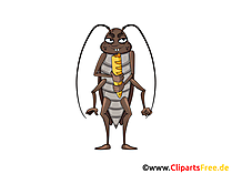 Kakerlake Bild, Clip Art, Illustration, Grafik gratis
