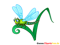 Libelle, Wasserjungfer, Augenstecher Bild, Clip Art, Illustration