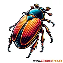 Cockchafer CLipart with white background