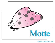 Motte Clipart-Bild free