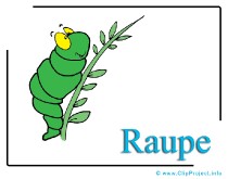 Raupe Cartoon Clipart Bild free