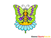 Schmetterling Bild, Clip Art, Illustration, Grafik