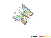 Schmetterling Clipart