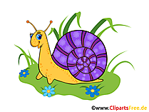 Schöne Schnecke Clipart, Bild kostenlos
