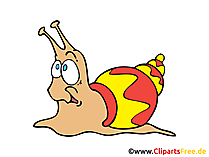 Snail Clip Art, Image, Picture free