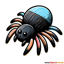 Spinne Clipart