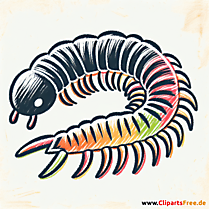 Tausendfüßler Clipart