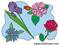 Clip Art Flowers