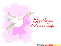 Schöne weiße Taube Clipart, Bild, Illustration - Gratulationen zur Kommunion auf Polnisch