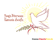 Vogel, Taube Clipart, Bild, Illustration - E-Karten zur Kommunion auf Polnisch