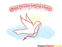 Weiße Taube Clipart, Bild, Illustration - Glückwünsche zur Kommunion auf Polnisch