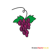 Konfirmation Clipart kostenlos - Weintrauben Cartoon