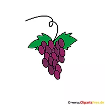 Konfirmation Clipart kostenlos - Weintrauben Cartoon