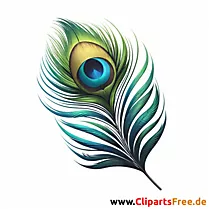 Clipart with peacock feather