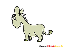 Esel Clipart, Bild, Grafik, Cartoon, Zeichnung gratis Esel Clipart, Bild, Grafik, Cartoon, Zeichnung gratis