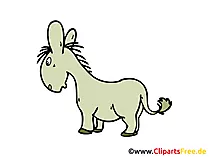 Esel Clipart, Bild, Grafik, Cartoon, Zeichnung gratis