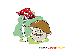 Fliegenpilz und Steinpilz Cartoon Clipart, Bild, Illustration