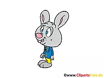 Hase Bild, Illustration, Clipart, Comic